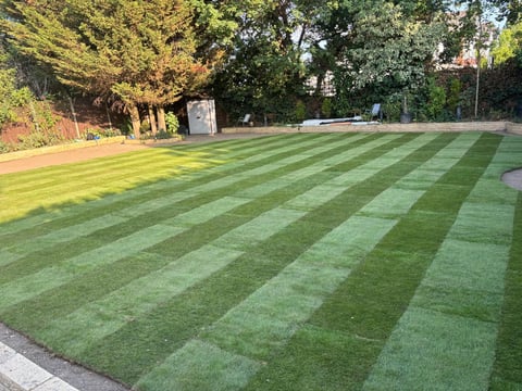 Manicured lawn with alternating green striped mowing pattern, mature trees and brick wall in background